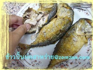 วิธีทำข้าวปั้นห่อสาหร่ายOnigiri  (ไส้ปลาทูนึ่งแบบลดไขมัน)ขั้นตอนที่ 10