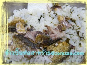 วิธีทำข้าวปั้นห่อสาหร่ายOnigiri  (ไส้ปลาทูนึ่งแบบลดไขมัน)ขั้นตอนที่ 11