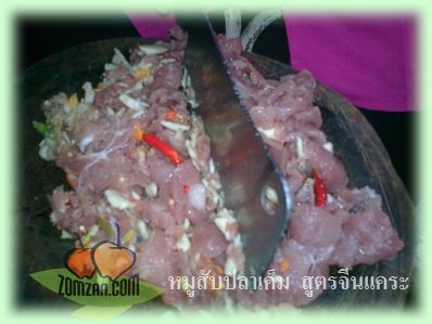 หมูสับ , ปลาเค็ม , ผัด  