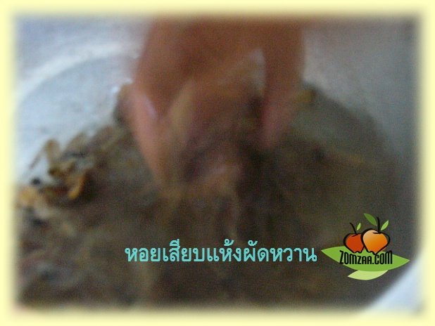 หอยเสียบ , เพชรบุรี , หอยเสียบผัด , ข้าวต้ม , กับข้าว ,อาหารไทย