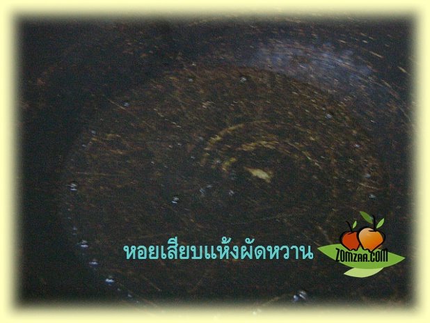 หอยเสียบ , เพชรบุรี , หอยเสียบผัด , ข้าวต้ม , กับข้าว ,อาหารไทย